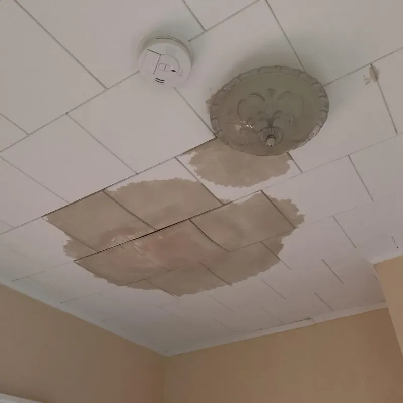 Ceiling Water Damage Repair in Weddington, NC